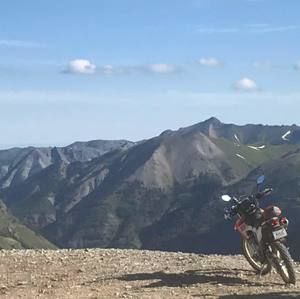 Meet your Posher, Shane